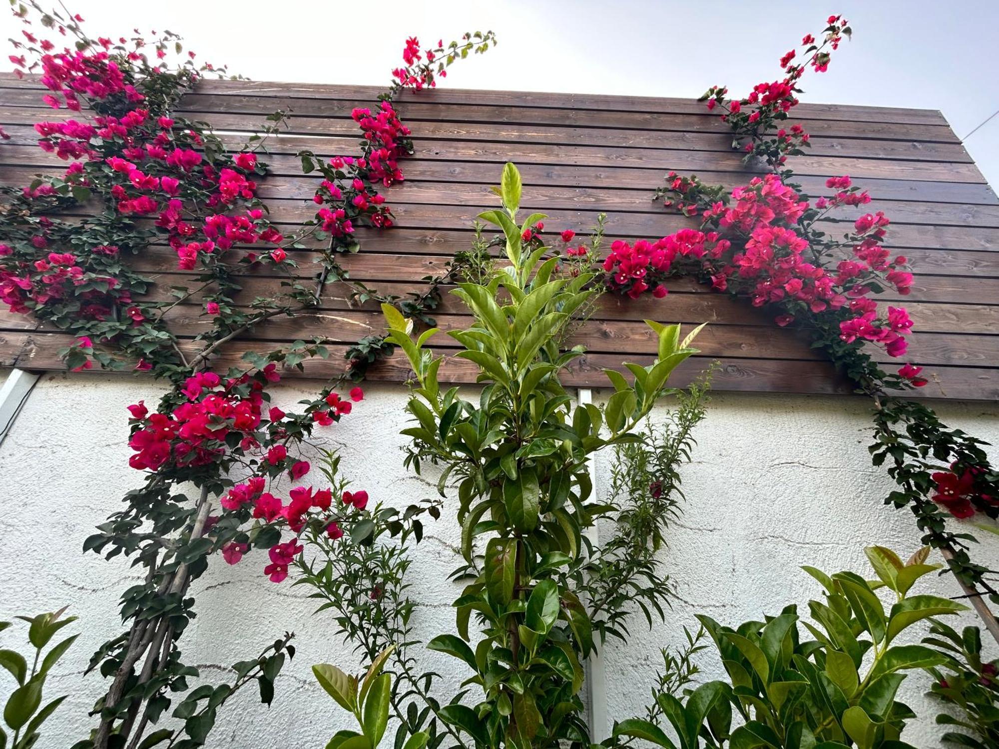 Aithonas Country house Archangelos (Rhodes)
